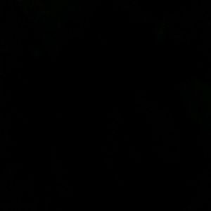 Meet your Posher, Cheyanne