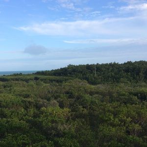 Meet your Posher, Joey