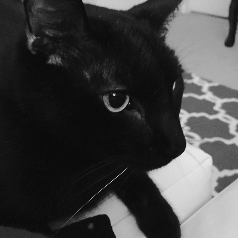 Meet your Posher, Irene