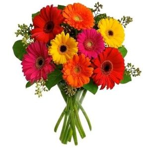 Meet your Posher, Marta