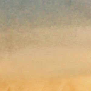 Meet your Posher, Kaylee