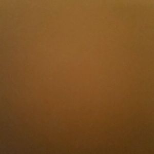 Meet your Posher, Caleb