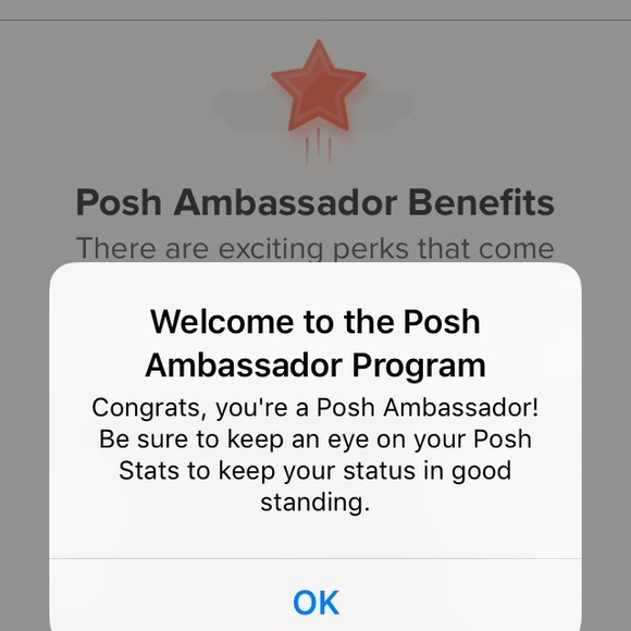 🍾🎉POSHMARK AMBASSADOR 🎉🍾 THANK YOU;MERCI;DANKE - Picture 2 of 4