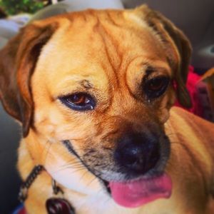 Meet your Posher, Chloe