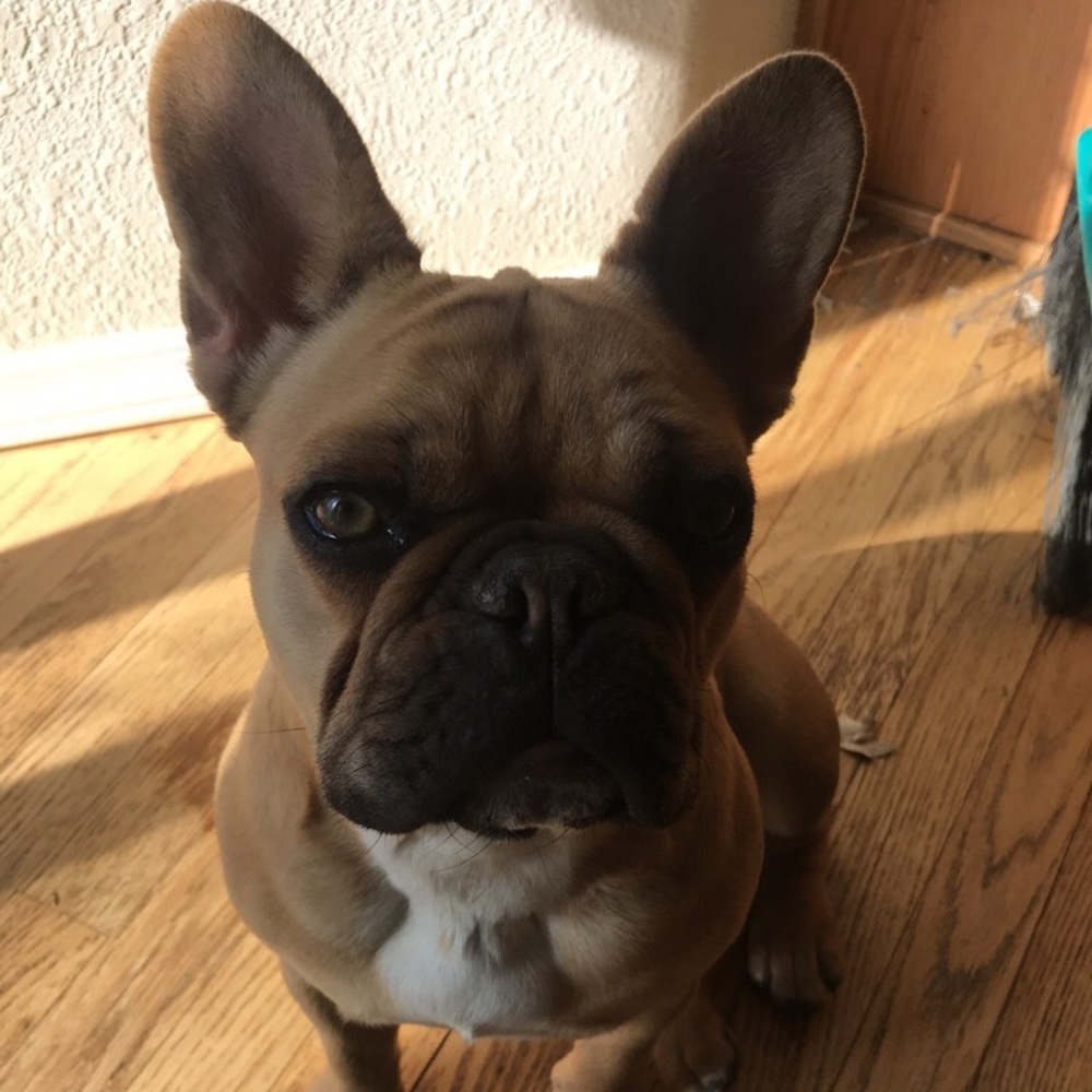 Meet your Posher, Haley