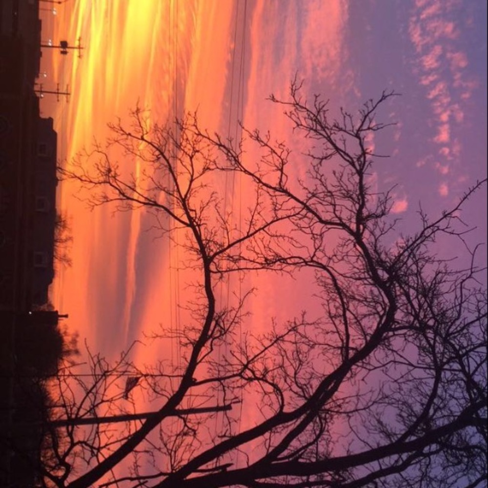 Meet your Posher, Alivia