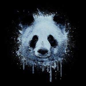 Meet your Posher, Jayden