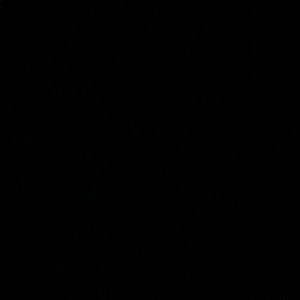 Meet your Posher, Bryce