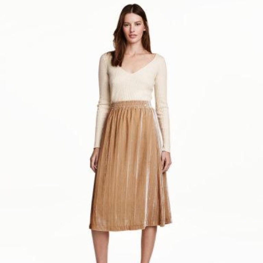 H & M velvet midi skirt! Never worn.