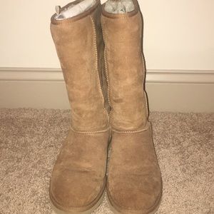 Tall chestnut uggs