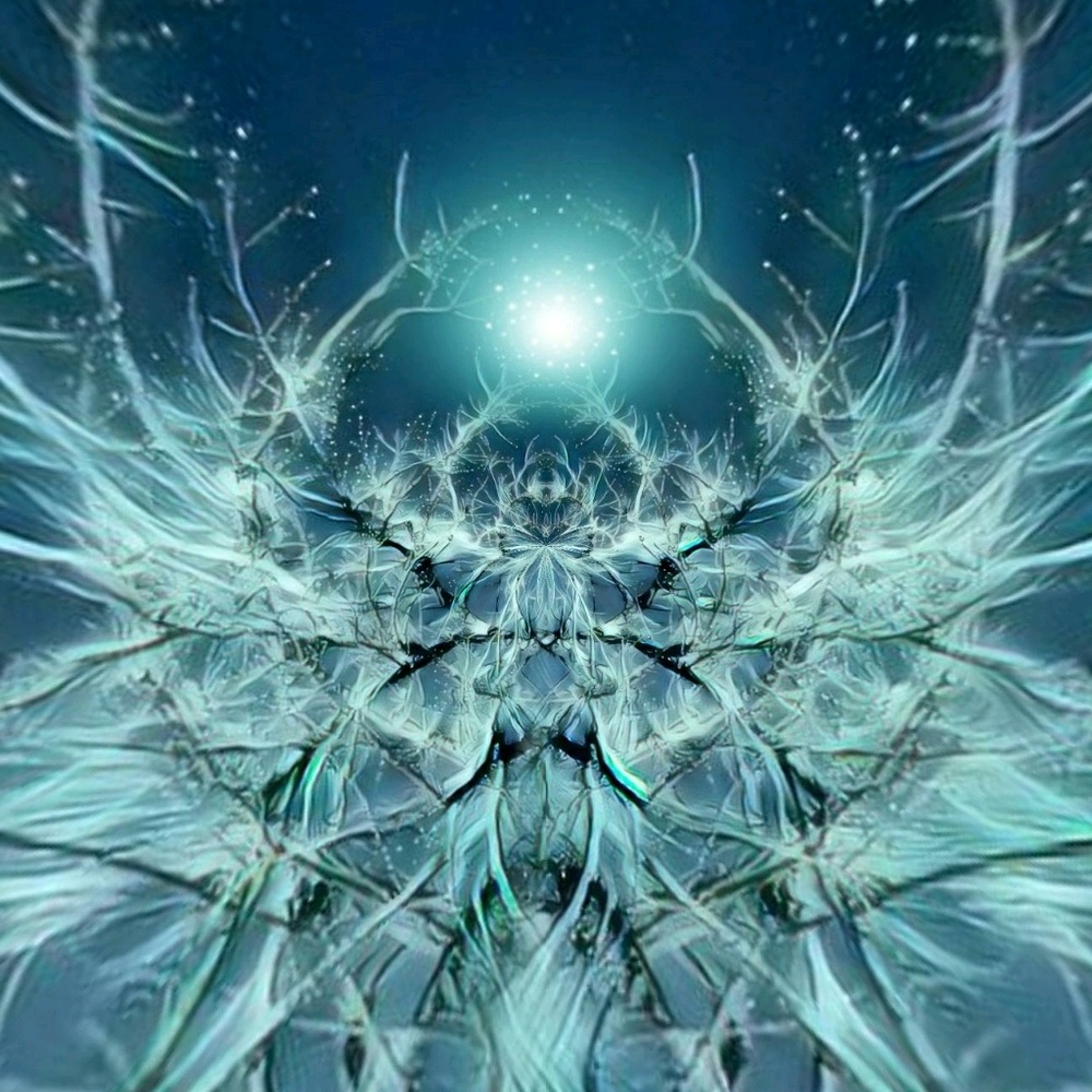 Meet your Posher, Cynthia