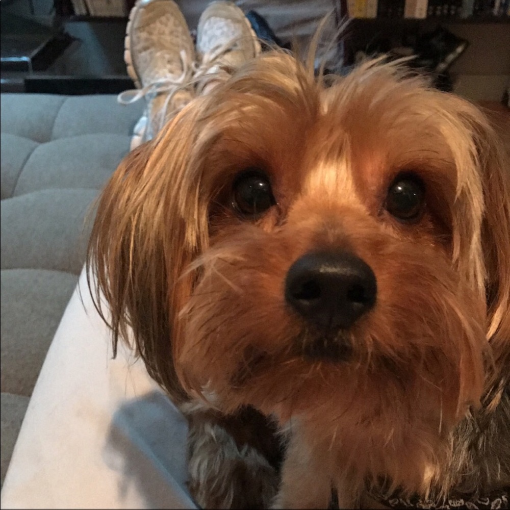 Meet your Posher, Trey