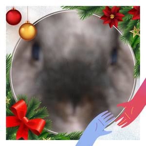 Meet your Posher, Kaye