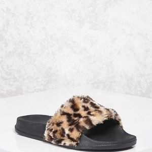 Unopened Cheetah Print Slides