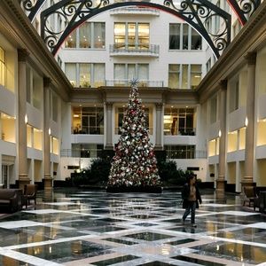 Meet your Posher, Brigid