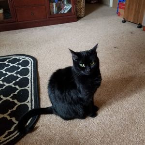 Meet your Posher, Donna