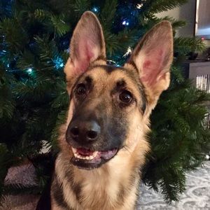 Meet your Posher, Masato