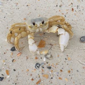 Meet your Posher, Jade