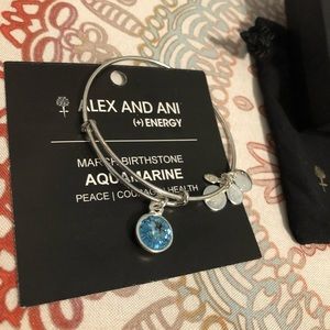 Alex and Ani Aquamarine Birthstone Bracelet