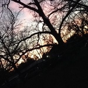 Meet your Posher, Esmeralda