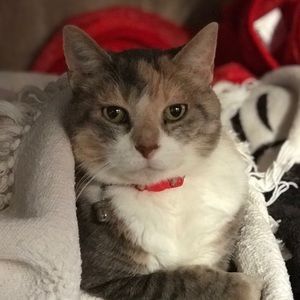 Meet your Posher, Lora