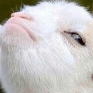 Meet your Posher, Bradley