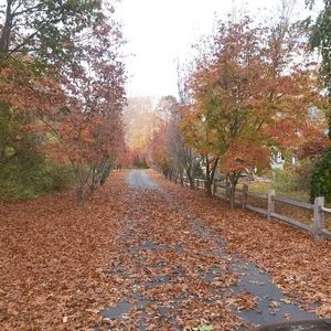 Meet your Posher, Gail