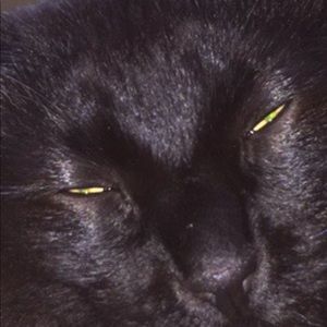 Meet your Posher, Cooper