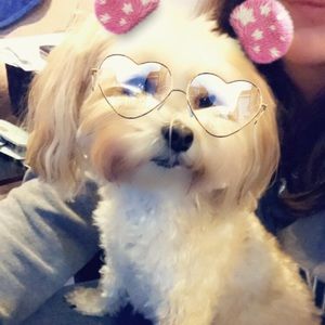 Meet your Posher, Anne