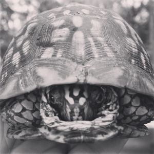 Meet your Posher, Tara