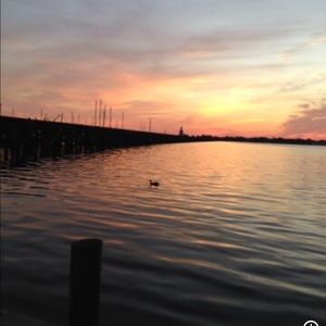 Meet your Posher, Annette