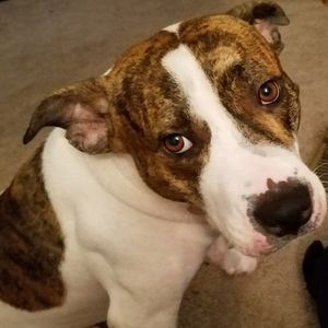 Meet your Posher, Omega