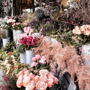 Meet your Posher, Kara