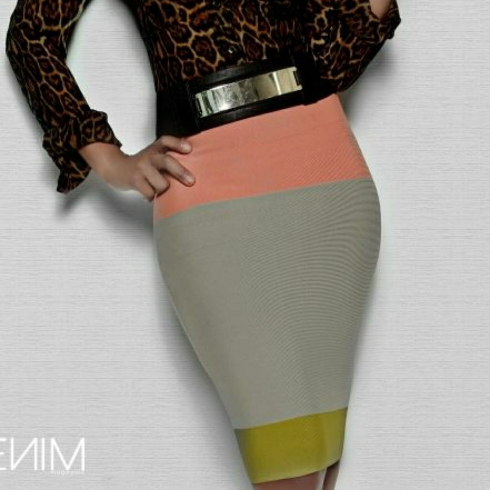 NWT BCBGMaxAzria Scarlett Pencil Skirt