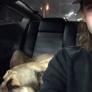 Meet your Posher, Dakota