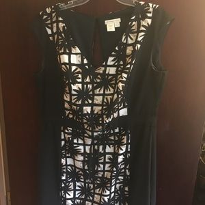 New York & Company Dress NWOT