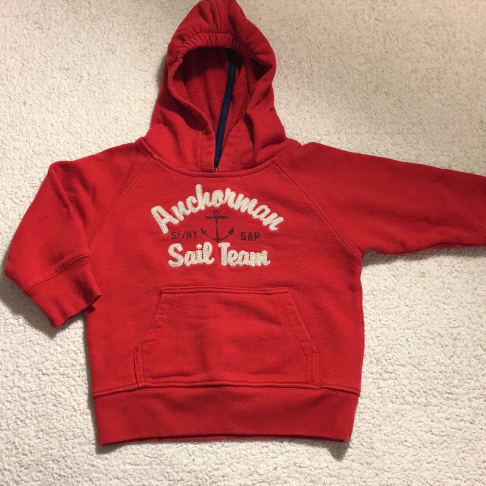 ❤️GAP❤️like NEW 12-18 mos hoodie