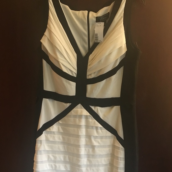 Collection Dressbarn Dress NWOT - Picture 1 of 5