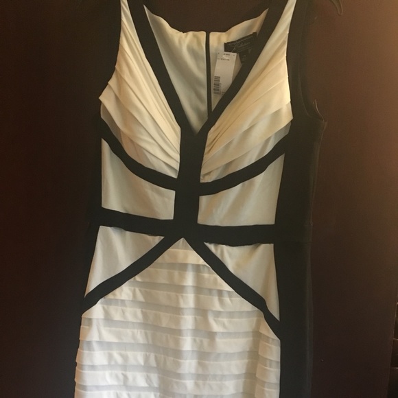 Collection Dressbarn Dress NWOT - Picture 4 of 5