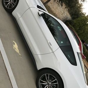 Meet your Posher, Jenny