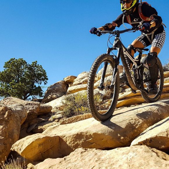 Meet your Posher, Deanna - Picture 1 of 1