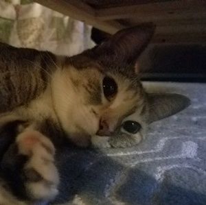 Meet your Posher, Dan