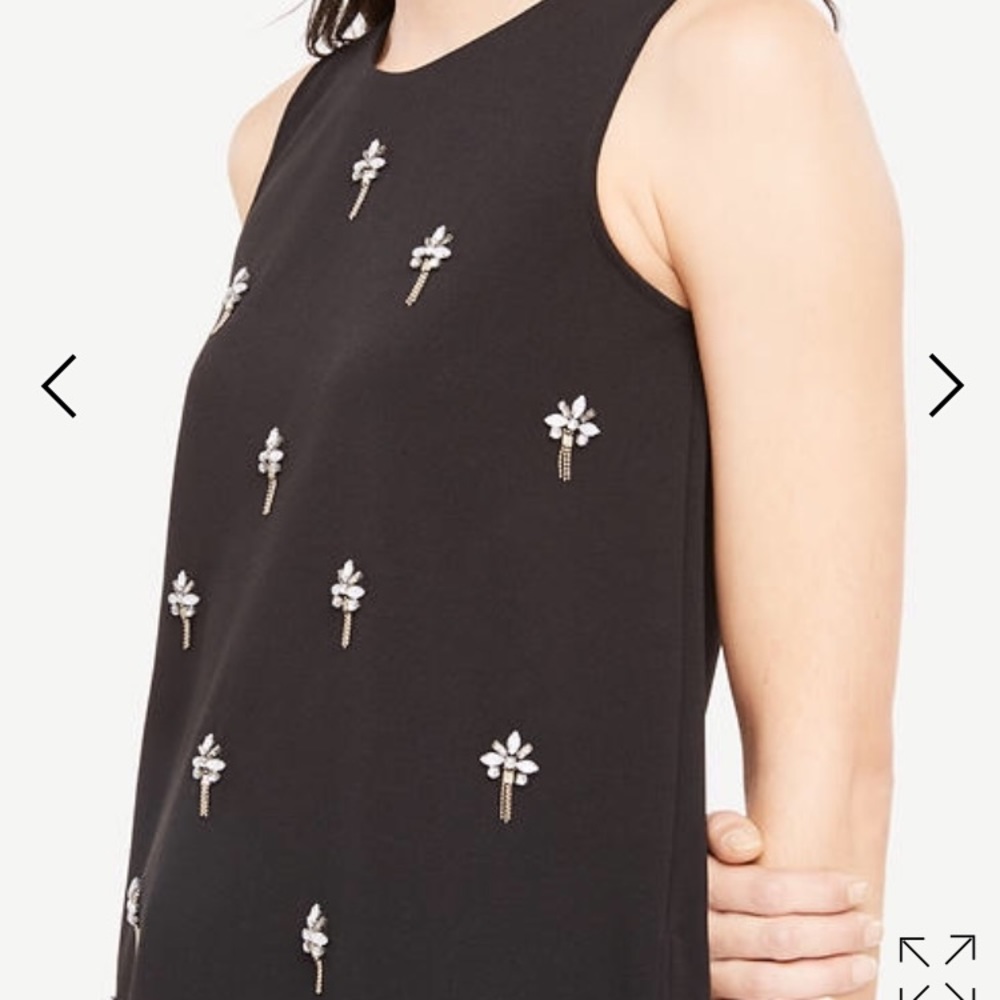 Ann Taylor top