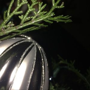 Meet your Posher, King