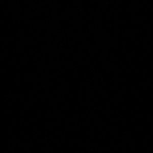 Meet your Posher, Alondra