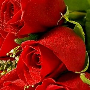 Meet your Posher, Marisela