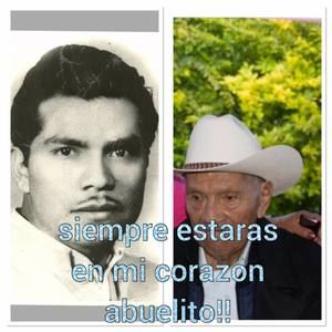 Meet your Posher, Iranymayra