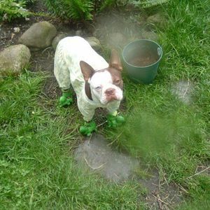 Meet your Posher, Joann