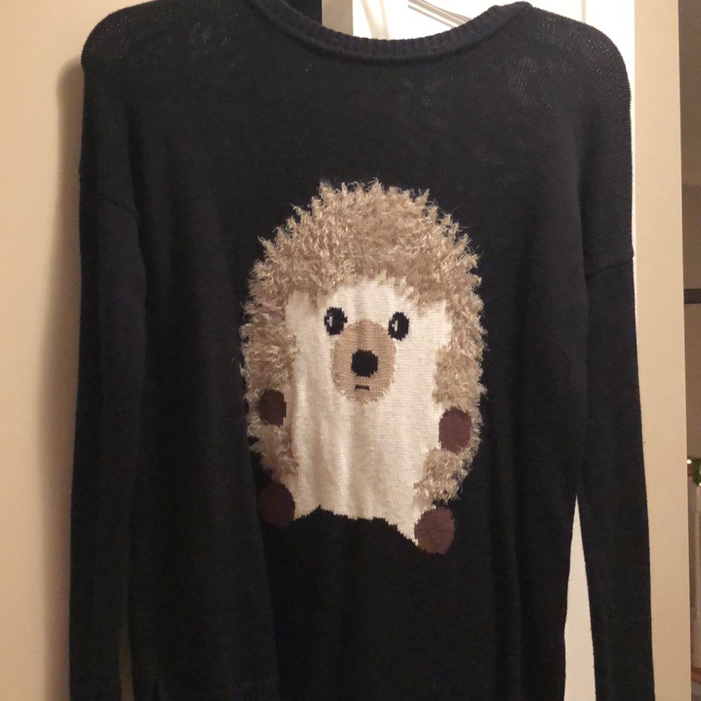 super cute hedgehog sweater