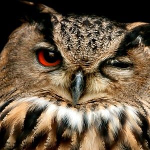 Meet your Posher, Kristina